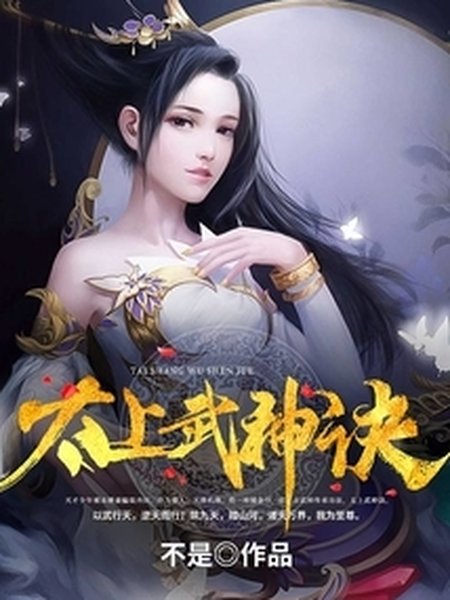 太上武神诀封面